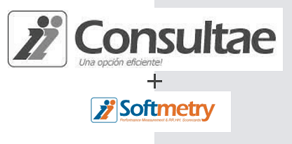 Consultae & Softmetry