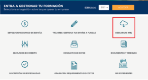 Cargas masivas XML