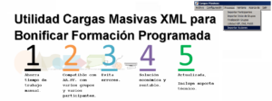 Funciones aplicativo cargas masivas xml